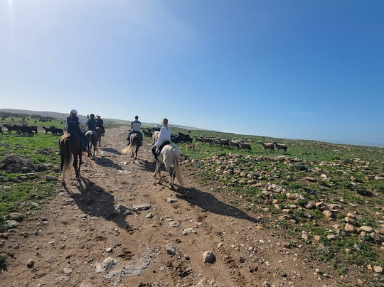 Cheval Essaouira-索维拉必去景点
