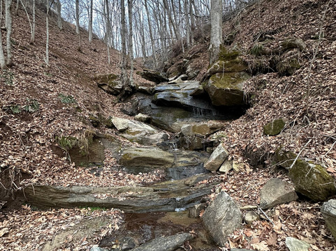 洛维尔之家旅馆主图