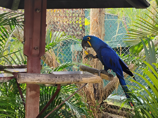 Parque Arvorar-Aquiraz必去景点