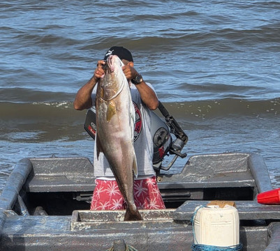 Retire in Panama Tours | Move to Panama | Panama Relocation Experts-波魁特必去景点