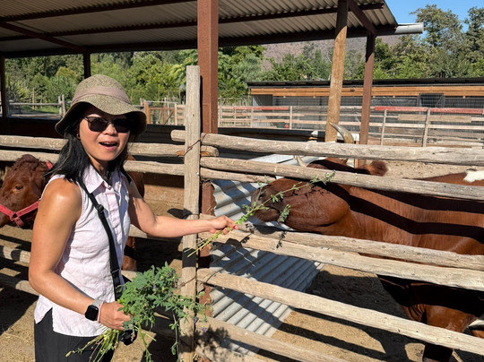 Campo La Quirinca-Isla de Maipo必去景点