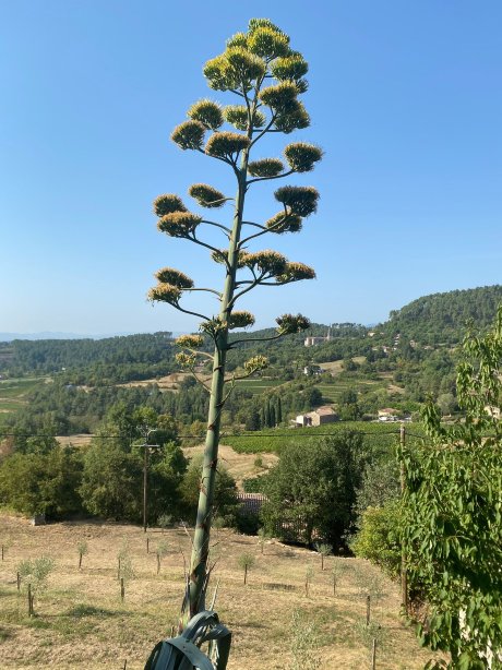 La Bastide De Sanilhac-官方