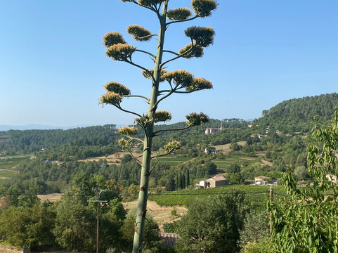 La Bastide De Sanilhac主图