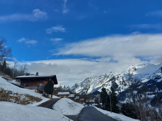 Odalys Collection Residence Le Chamois主图