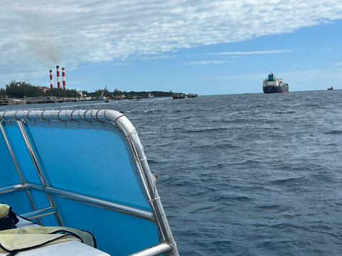 Stuart Cove's-拿骚必去景点