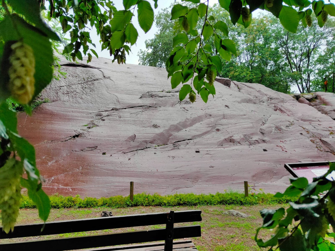 Parco Comunale delle Incisioni Rupestri di Luine-Darfo Boario Terme必去景点