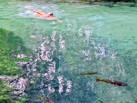 Parque Ecológico Rio Formoso-博尼图必去景点