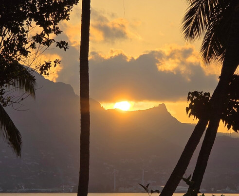 Blue Sea Divers Sainte-Anne-Sainte Anne Island必去景点