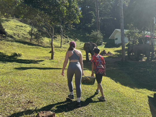 Chiang Mai Eco Trekking-清迈必去景点