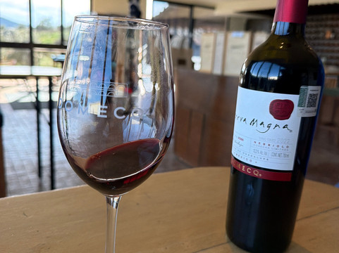 Bodegas Domecq-恩塞纳达必去景点