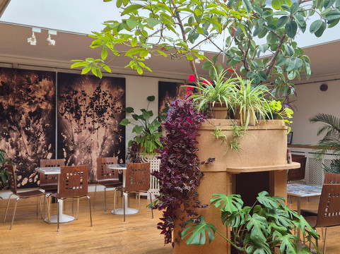 Backstage Theatre-Longford必去景点