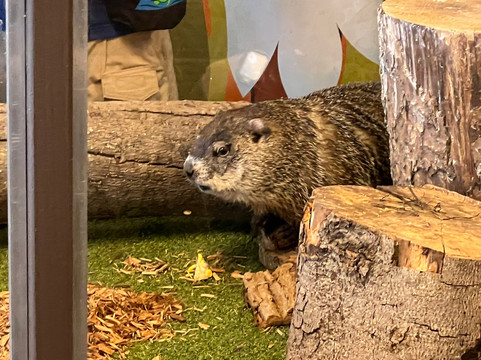 Turtle Back Zoo-西奥兰治必去景点