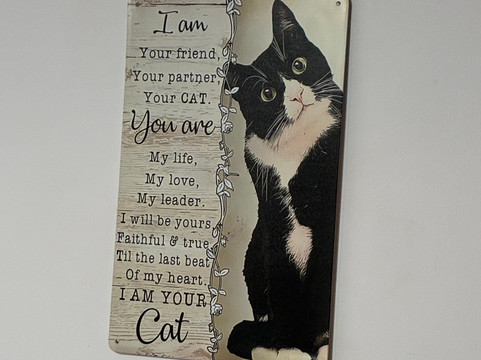 Andover Catfe-Andover必去景点