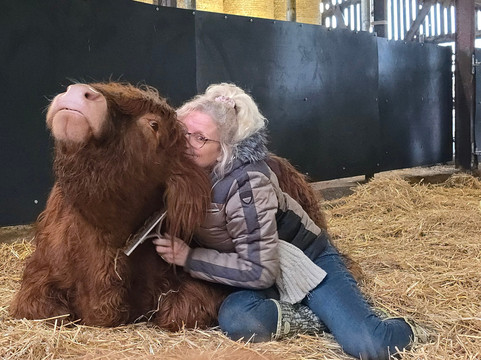 Dumble Farm-比弗利必去景点