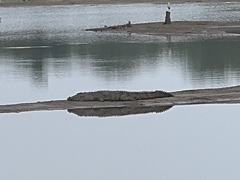 Udawalawe Lahiru Safari Guide Tours-乌达瓦拉维国家公园必去景点