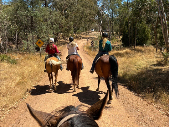 Watson's Mountain Country Trail Rides - Day Tours-曼斯菲尔德必去景点