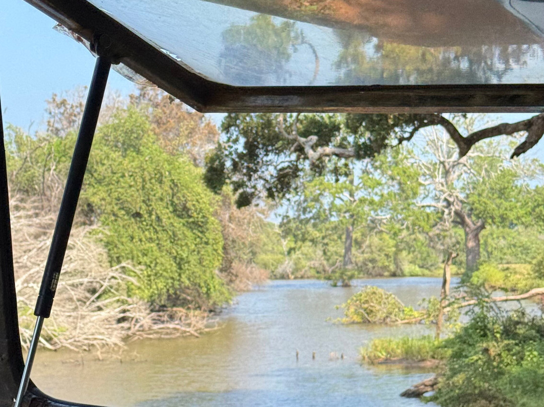 Yala Yewon  Tours-蒂瑟默哈拉默必去景点