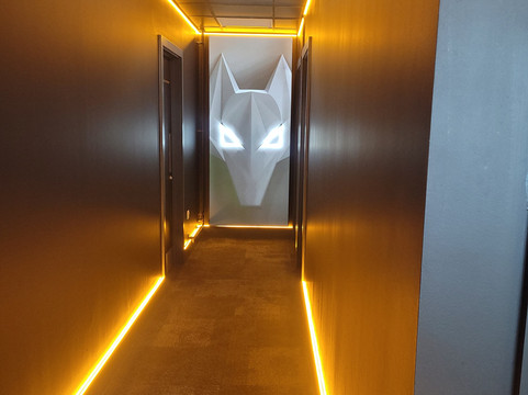 Wolves Museum & Stadium Tours-沃尔夫汉普顿必去景点