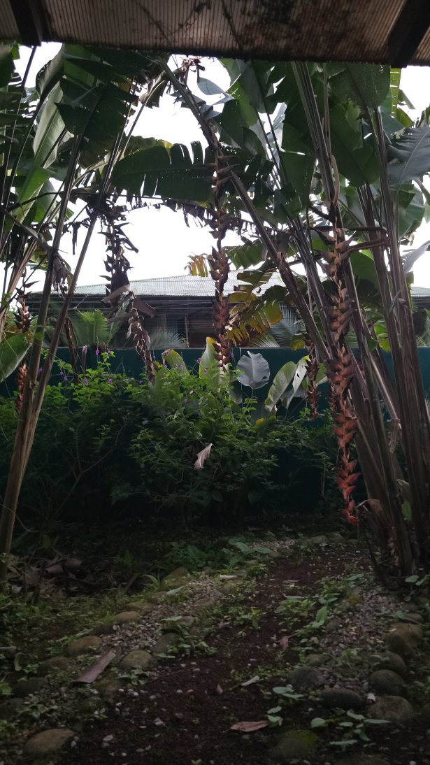 崔姆缤娜旅馆-官方