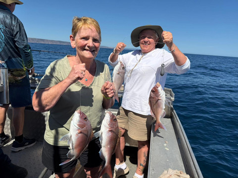 Emu Bay Fishing Charters-Emu Bay必去景点