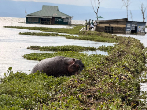 Axis Africa Safaris-内罗毕必去景点