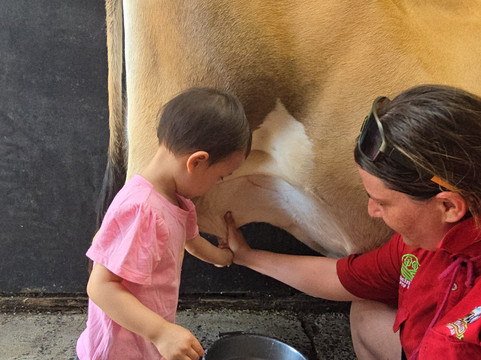 Animal Land Children's Farm-Diggers Rest必去景点