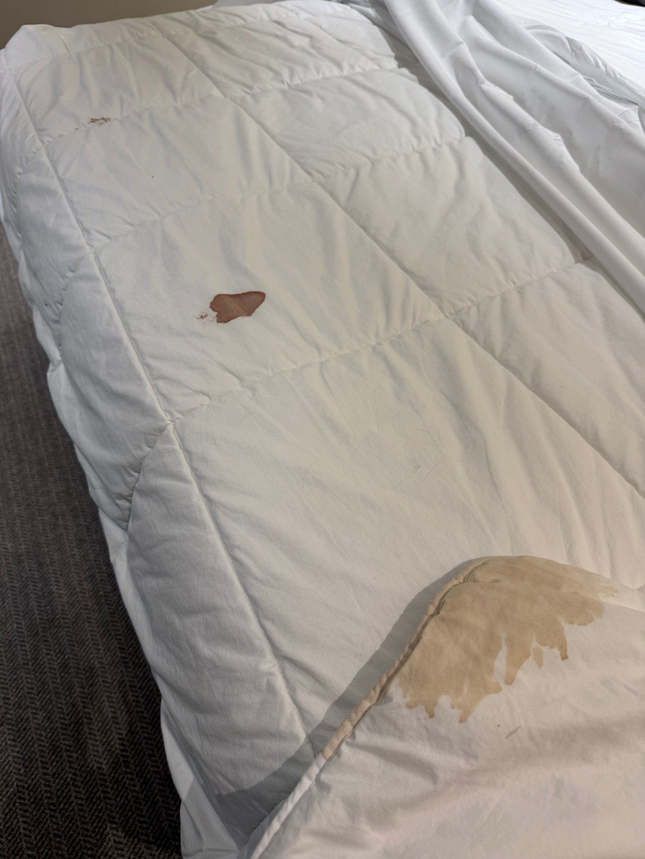 天鹅Spa酒店-客卧