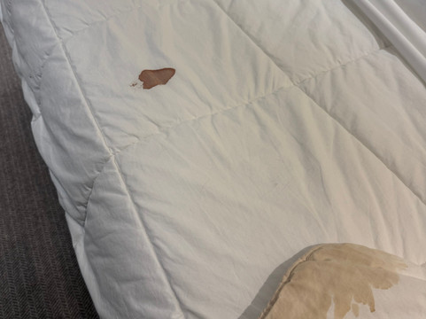 天鹅Spa酒店主图