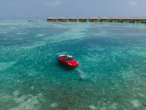 马尔代夫可可尼酒店-泳池
