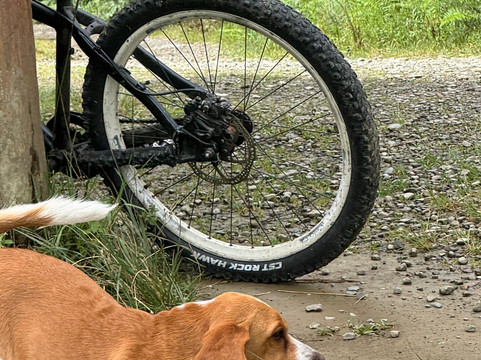 Altitude Travel-拉巴斯必去景点