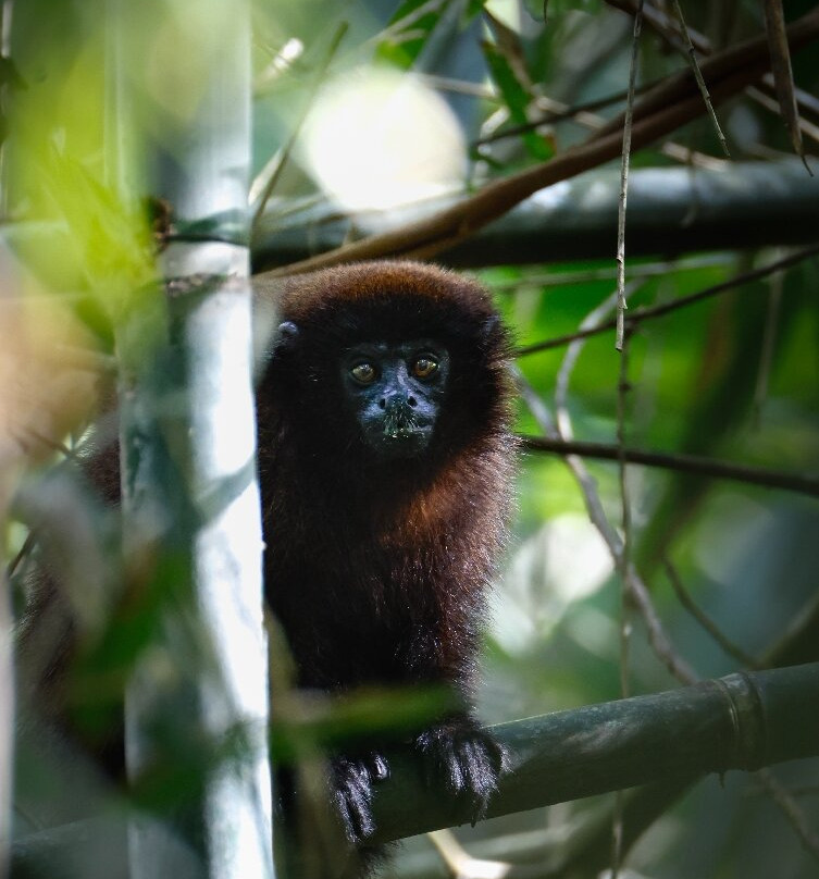 Manu Tour Operator  Expediciones Vilca-Manu必去景点