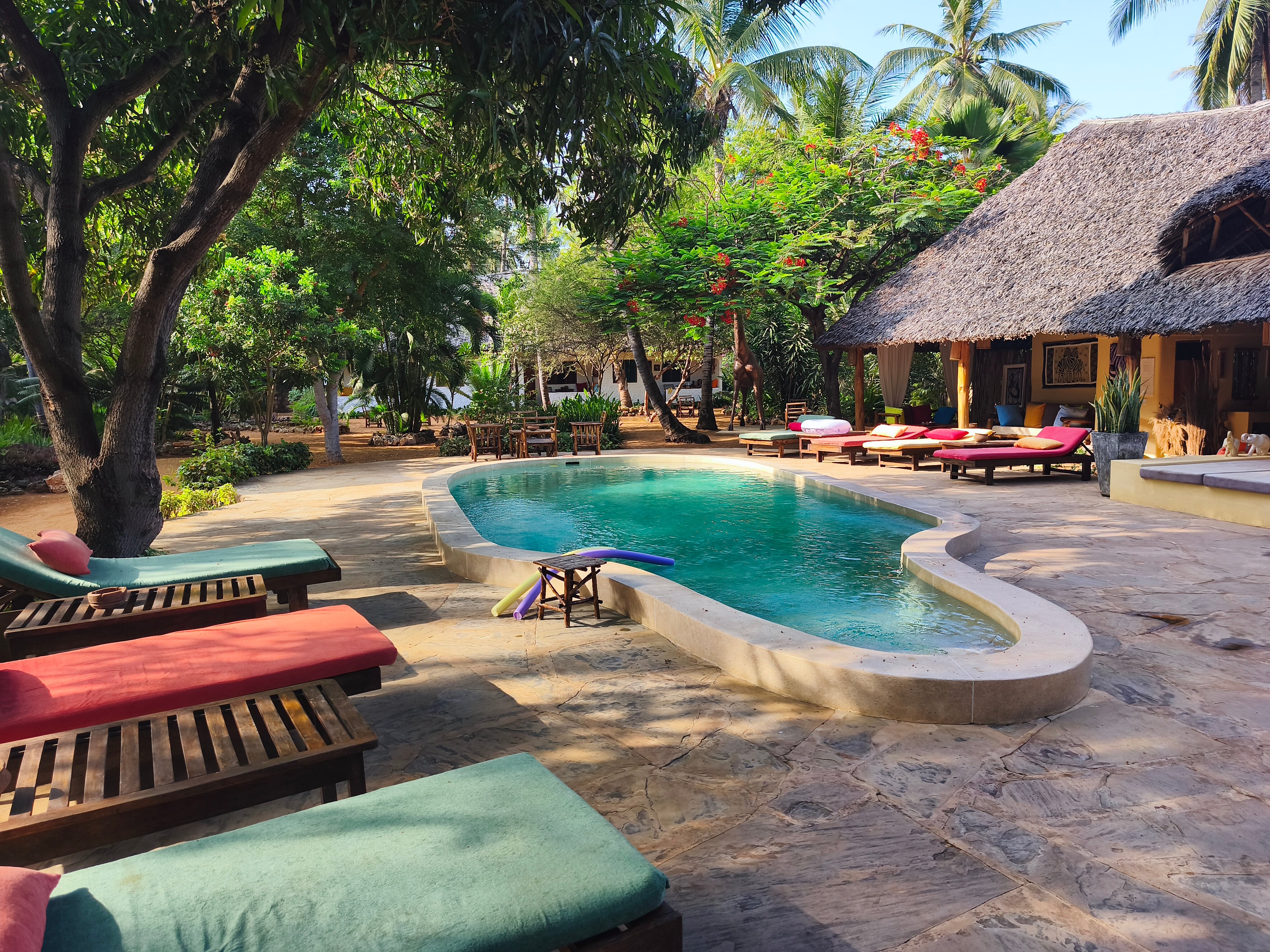 你我在非洲山林小屋-官方