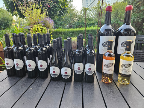 Norrorts Charter and Catering