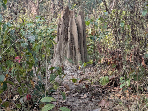 View Nepal Treks & Expedition-加德满都必去景点