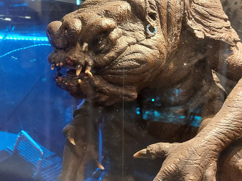 Stars of the Galaxy-门兴格拉德巴赫必去景点