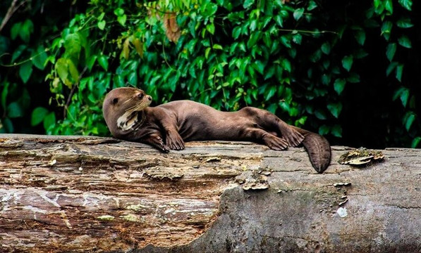 Lago Sandoval-马尔多纳多港必去景点
