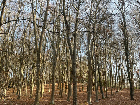 Westerlands-Graffham必去景点