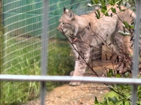 Shepreth Wildlife Park-Shepreth必去景点