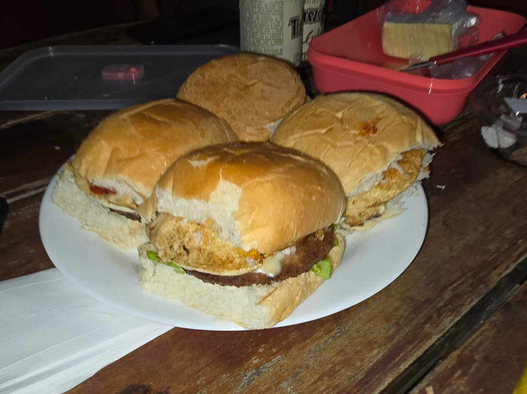 Vilanova Parque Hotel主图