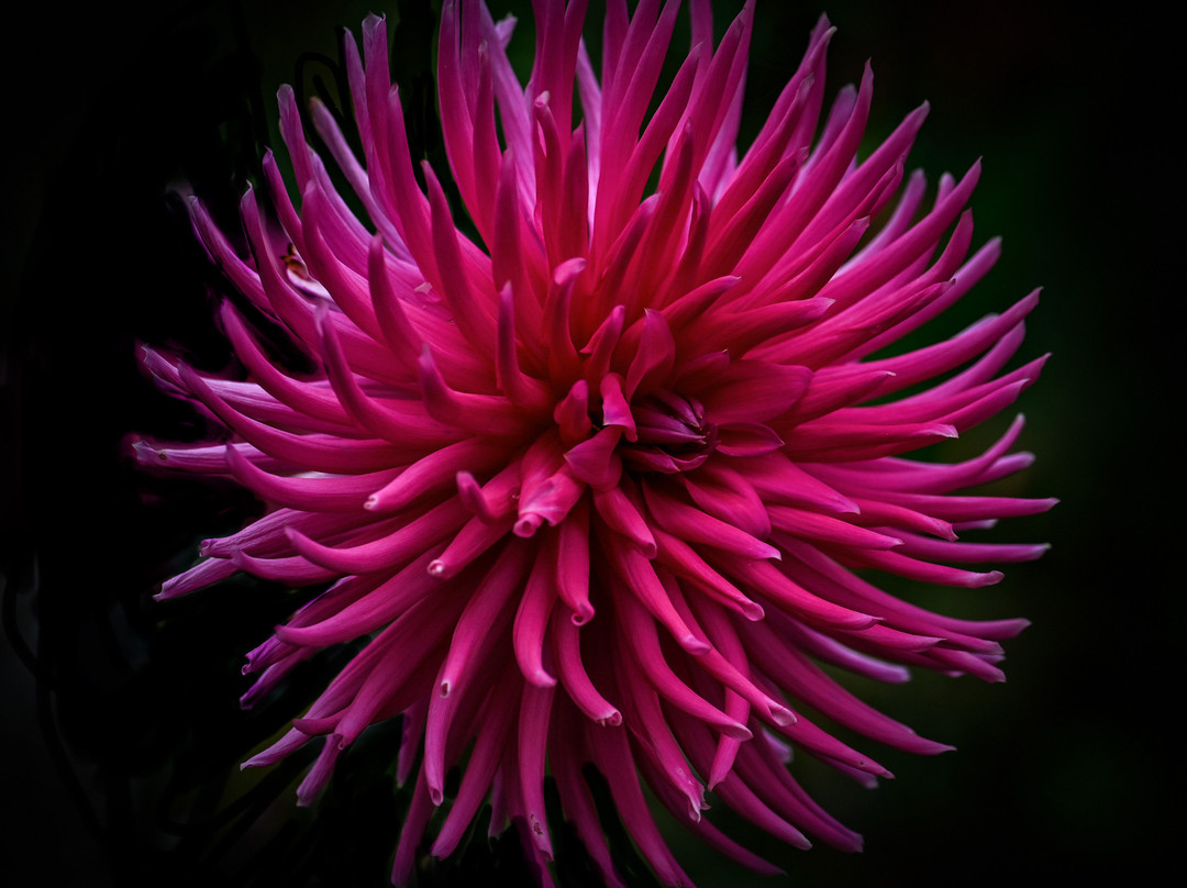 萨多勒里乡村别墅主图