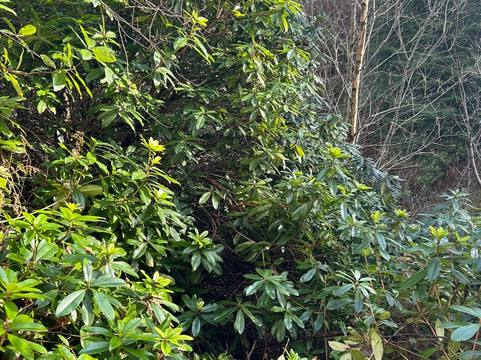 Maspie Den-Falkland必去景点