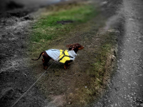 Holcombe Hill-Ramsbottom必去景点