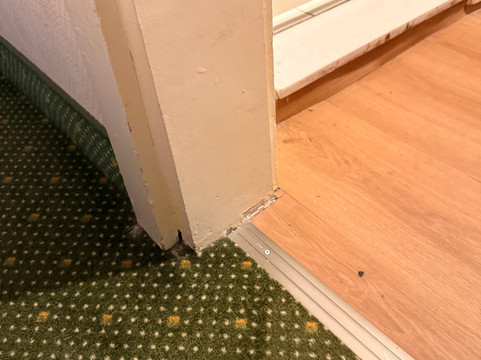 阿尔滕堡枫叶沃德酒店主图