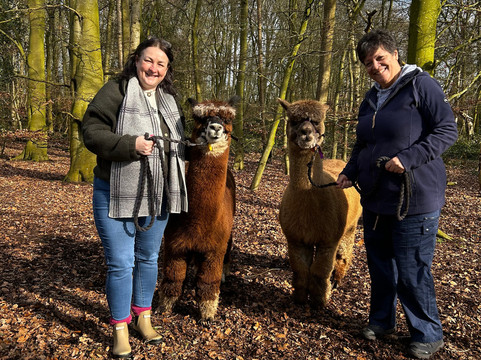 Sheriff Alpacas-约克必去景点