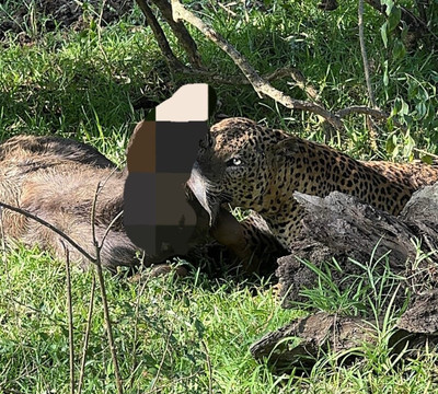 Freedom Safari Jeep Tours-蒂瑟默哈拉默必去景点