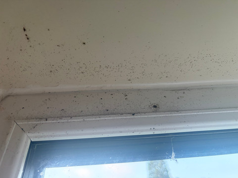 莱斯特北西普瑞米尔酒店