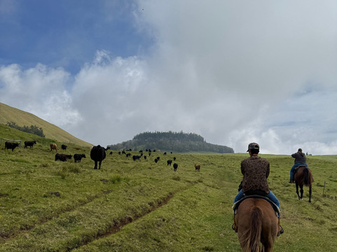 Na'alapa Stables - Kahua Ranch-卡慕也拉必去景点