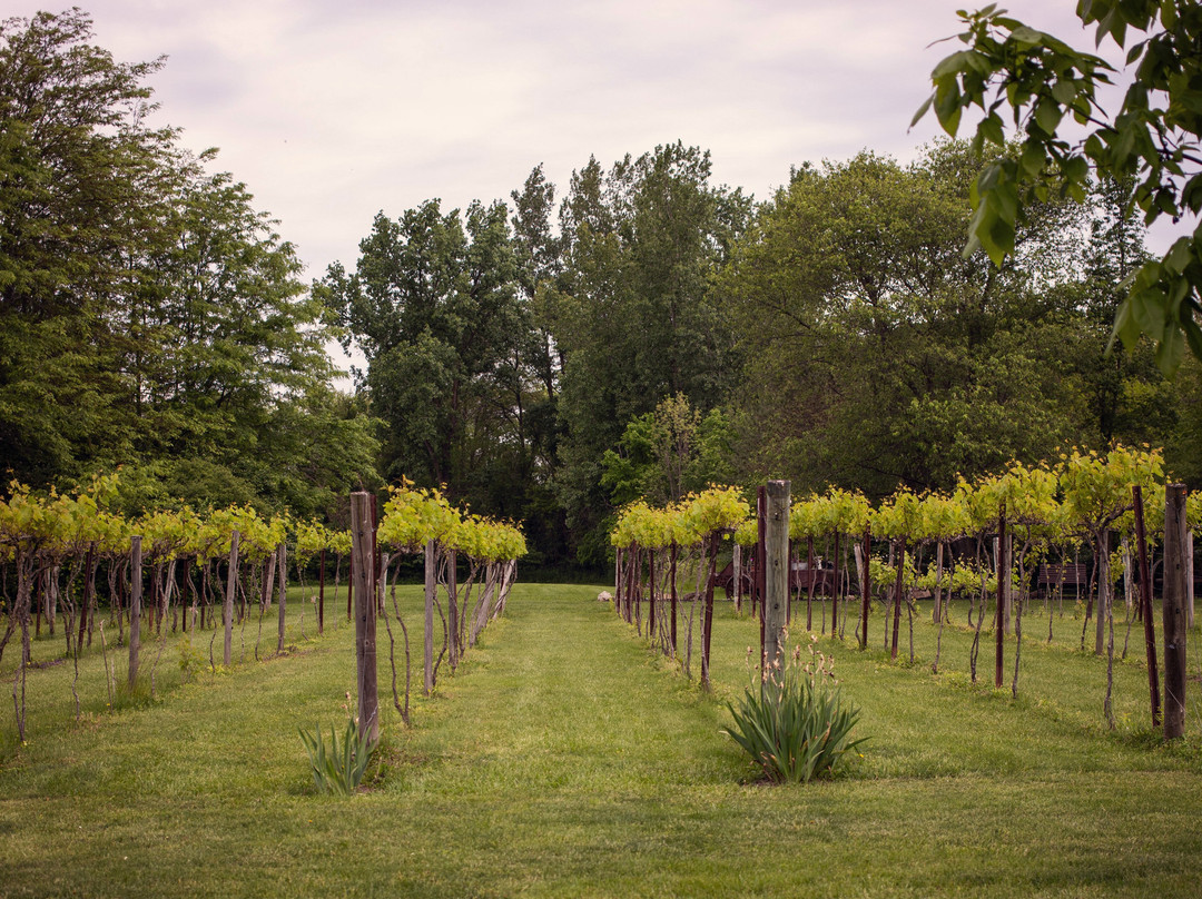 Chateau Winery & Vineyard-Helena必去景点