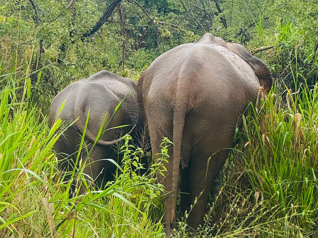 Muthu Sri Lanka Tours-加勒必去景点