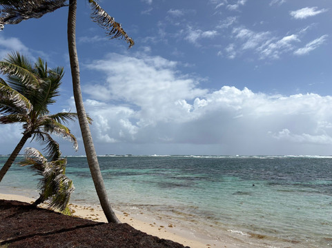 Anse Michel-Sainte-Anne必去景点